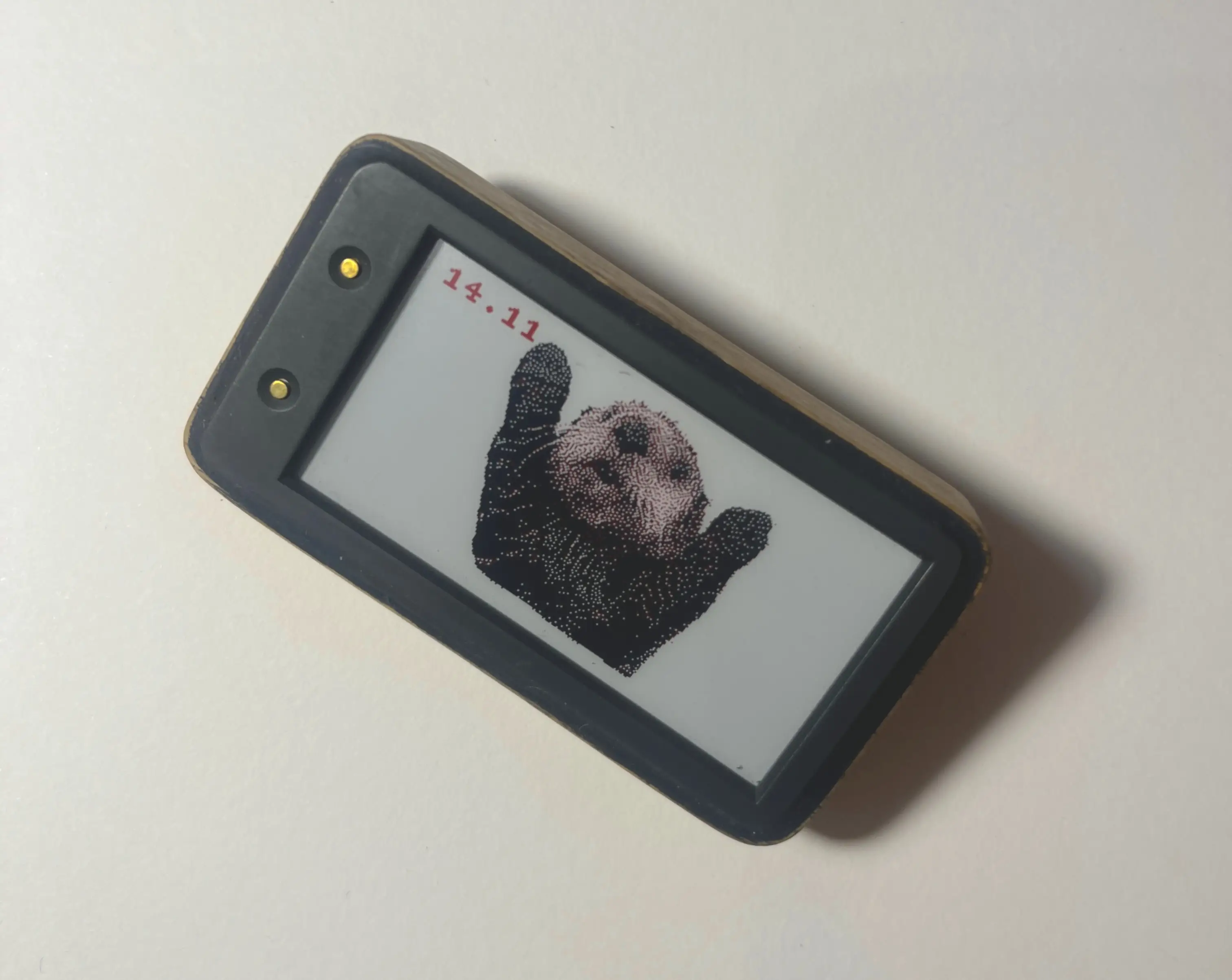 Final otter